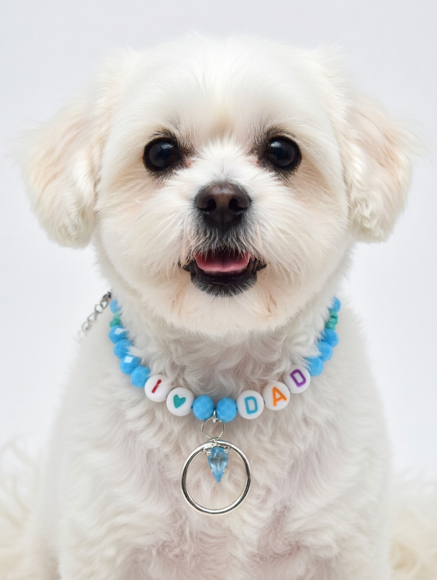 Personalized "I Love Dad" Dog & Cat Necklace - Blue Glass Beaded Pet Jewelry - Colorful Letter Beads with Heart Charm - Crystal Inset Metal Ring Pendant - Adjustable 25cm Custom Length - Image 4